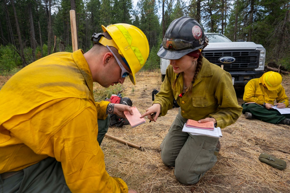 U.S. Army Soldiers from 7th Infantry Division activated as wildland firefighters on the Modrite Fire
