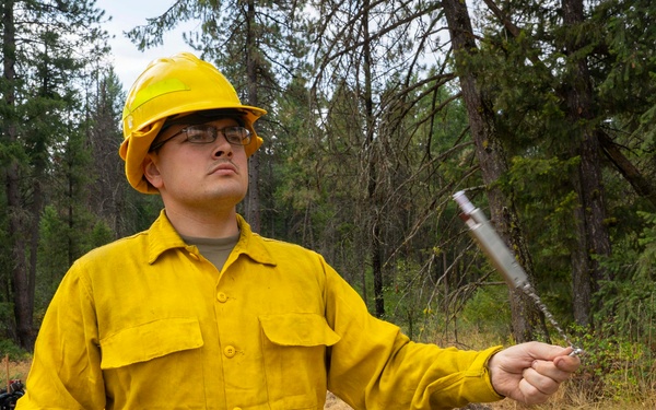U.S. Army Soldiers from 7th Infantry Division activated as wildland firefighters on the Modrite Fire