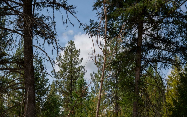 U.S. Army Soldiers from 7th Infantry Division activated as wildland firefighters on the Modrite Fire