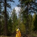 U.S. Army Soldiers from 7th Infantry Division activated as wildland firefighters on the Modrite Fire