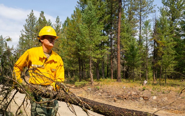 U.S. Army Soldiers from 7th Infantry Division activated as wildland firefighters on the Modrite Fire