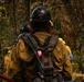 Day 4 Wildlands Fire Suppression Operations Military Task Force Charlie