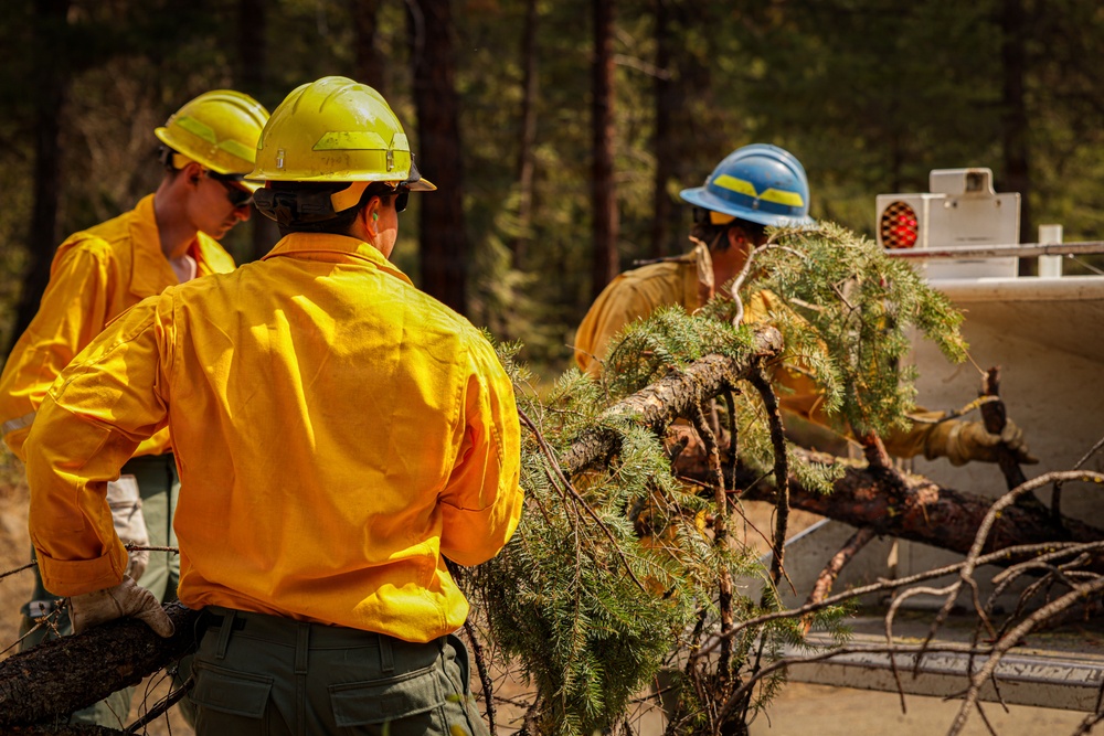 Day 4 Wildlands Fire Suppression Operations Military Task Force Charlie