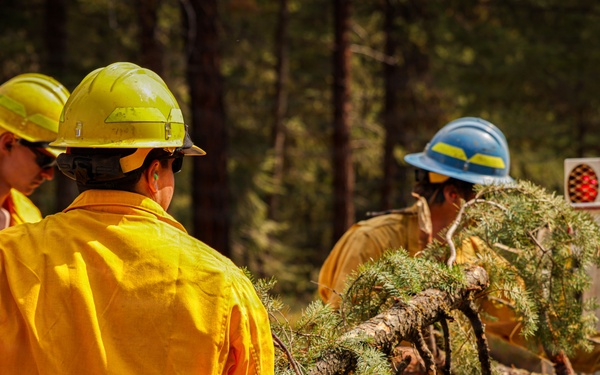 Day 4 Wildlands Fire Suppression Operations Military Task Force Charlie
