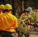 Day 4 Wildlands Fire Suppression Operations Military Task Force Charlie