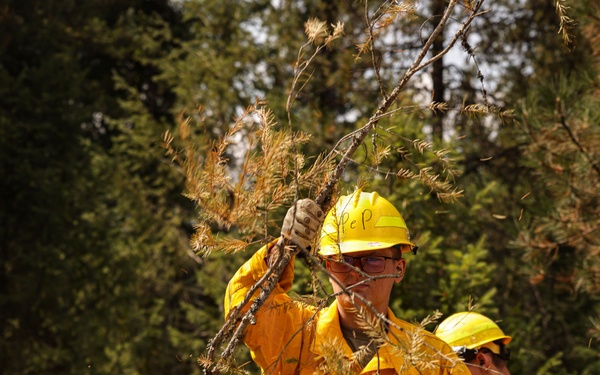 Day 4 Wildlands Fire Suppression Operations Military Task Force Charlie