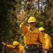 Day 4 Wildlands Fire Suppression Operations Military Task Force Charlie