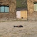 1st MLG Marines utilize new technology during CBRN virtual training