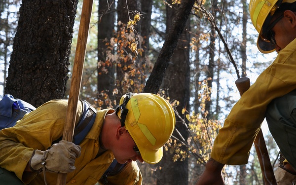 U.S. Army Soldiers from 7th Infantry Division work to suppress wildfire