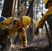 U.S. Army Soldiers from 7th Infantry Division work to suppress wildfire