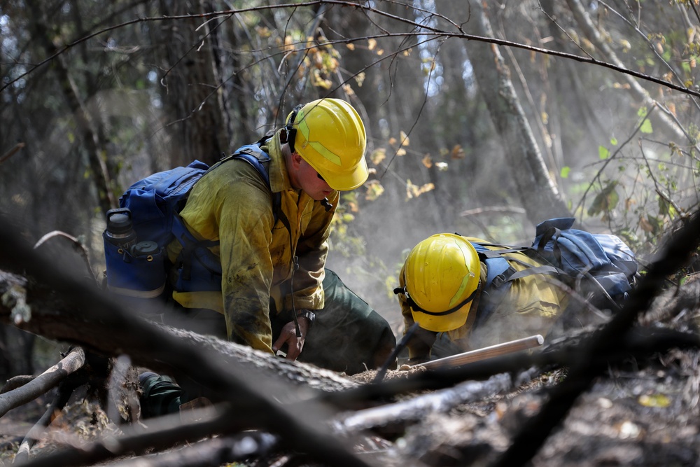 U.S. Army Soldiers from 7th Infantry Division work to suppress wildfire