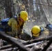 U.S. Army Soldiers from 7th Infantry Division work to suppress wildfire