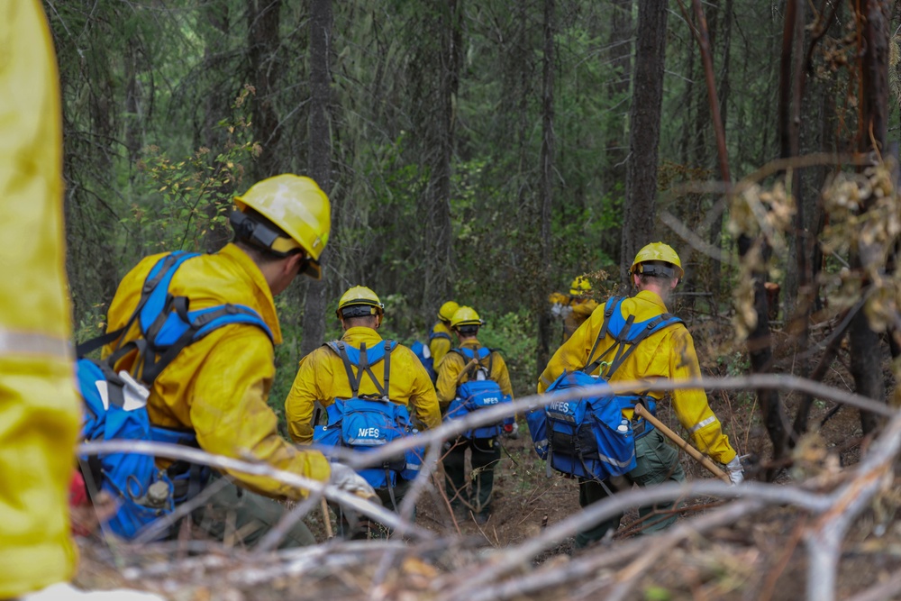 U.S. Army Soldiers from 7th Infantry Division work to suppress wildfire