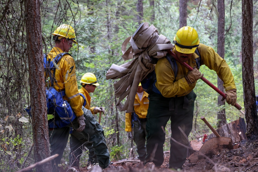 U.S. Army Soldiers from 7th Infantry Division work to suppress wildfire