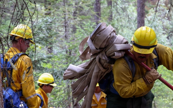 U.S. Army Soldiers from 7th Infantry Division work to suppress wildfire