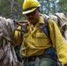 U.S. Army Soldiers from 7th Infantry Division work to suppress wildfire