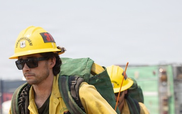 Timber Fire