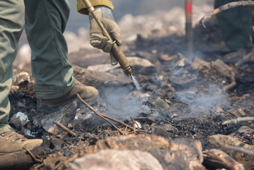Timber Fire