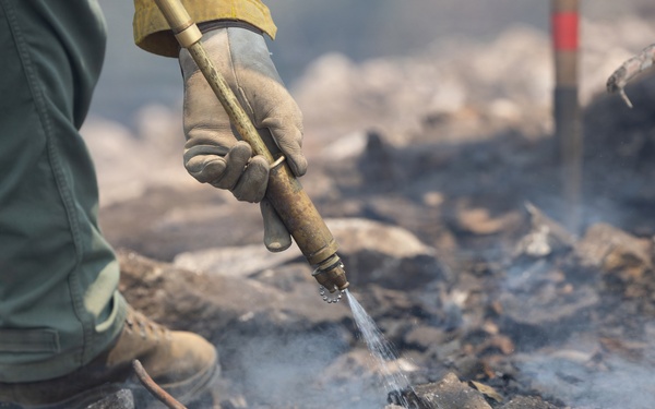 Timber Fire