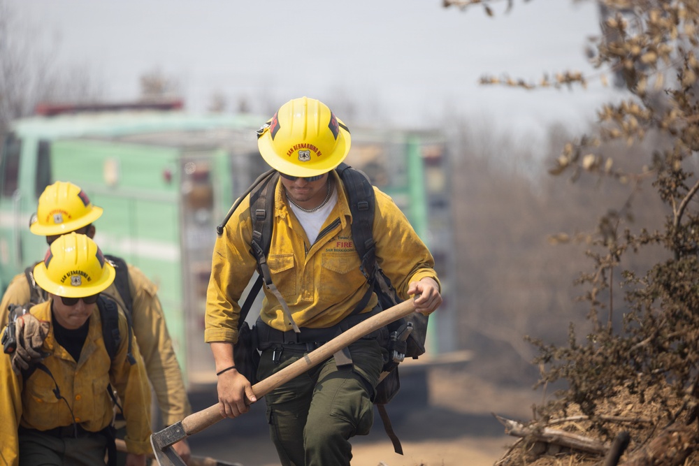Timber Fire