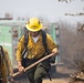 Timber Fire