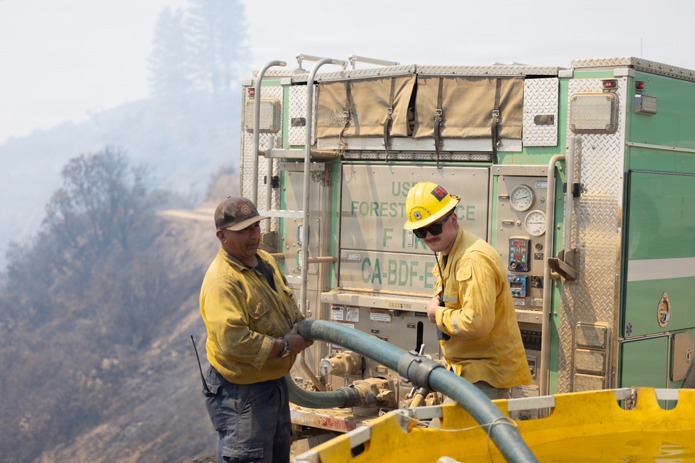 Timber Fire