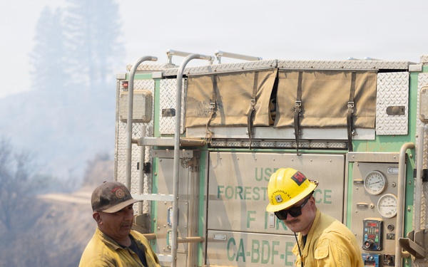Timber Fire
