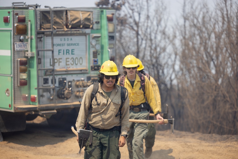 Timber Fire
