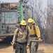 Timber Fire