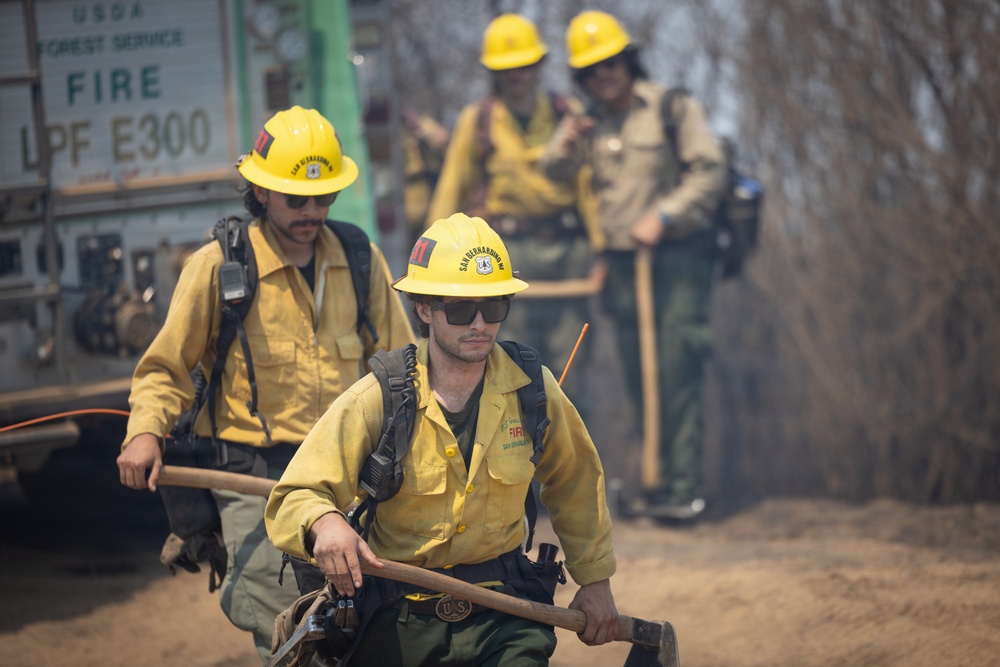 Timber Fire