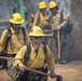 Timber Fire