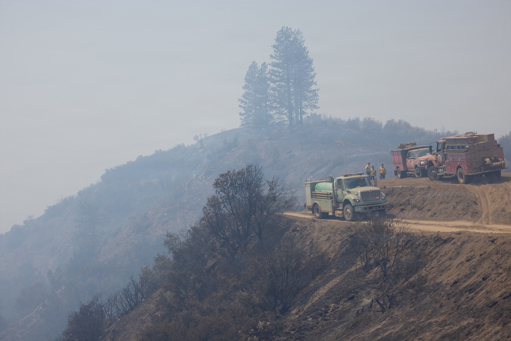 Timber Fire
