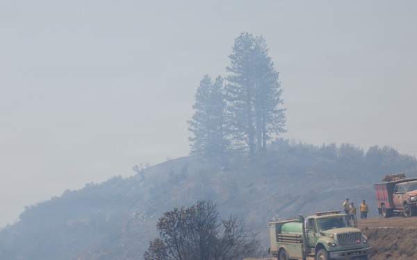 Timber Fire