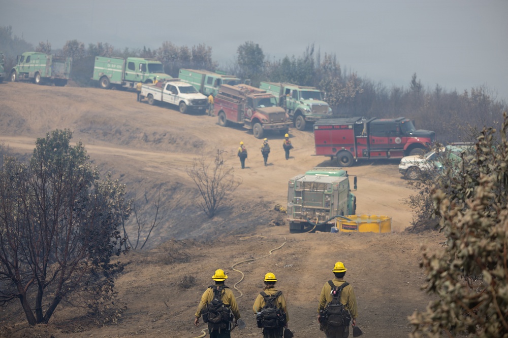 Timber Fire