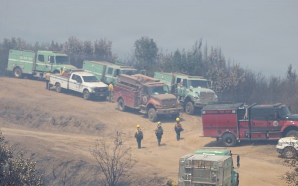 Timber Fire