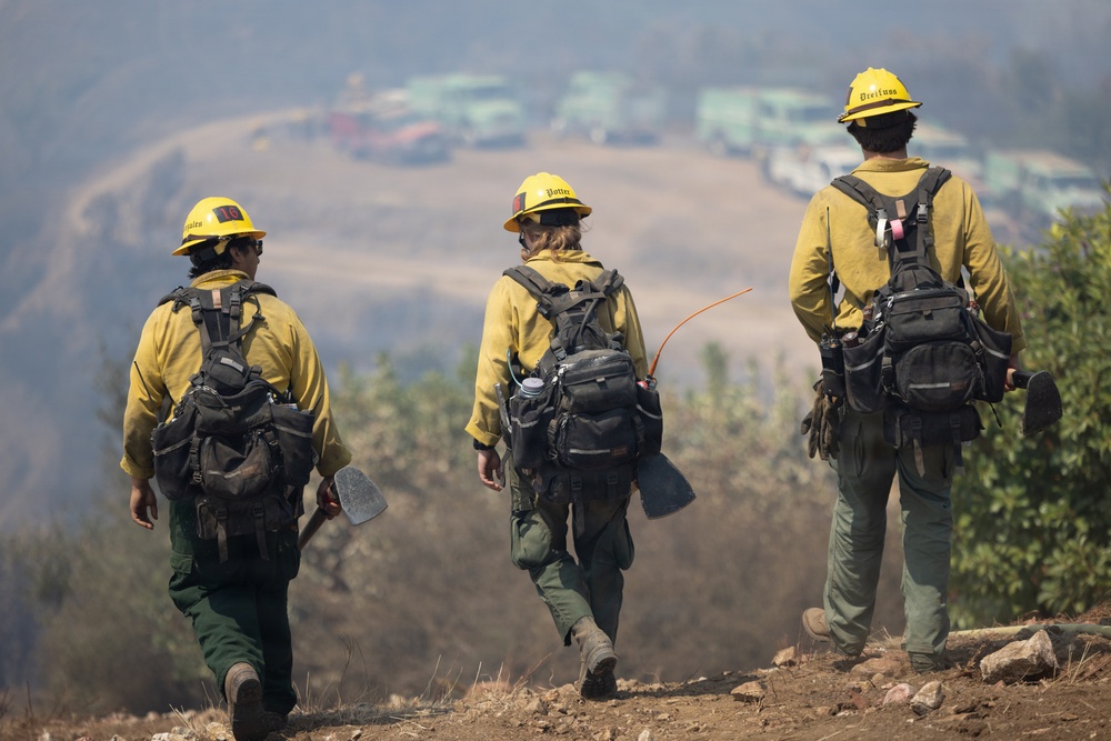 Timber Fire