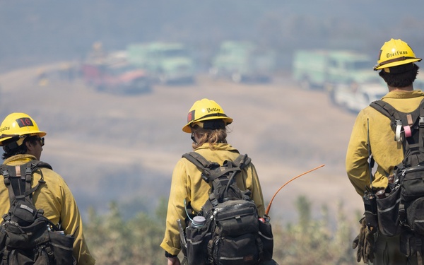 Timber Fire