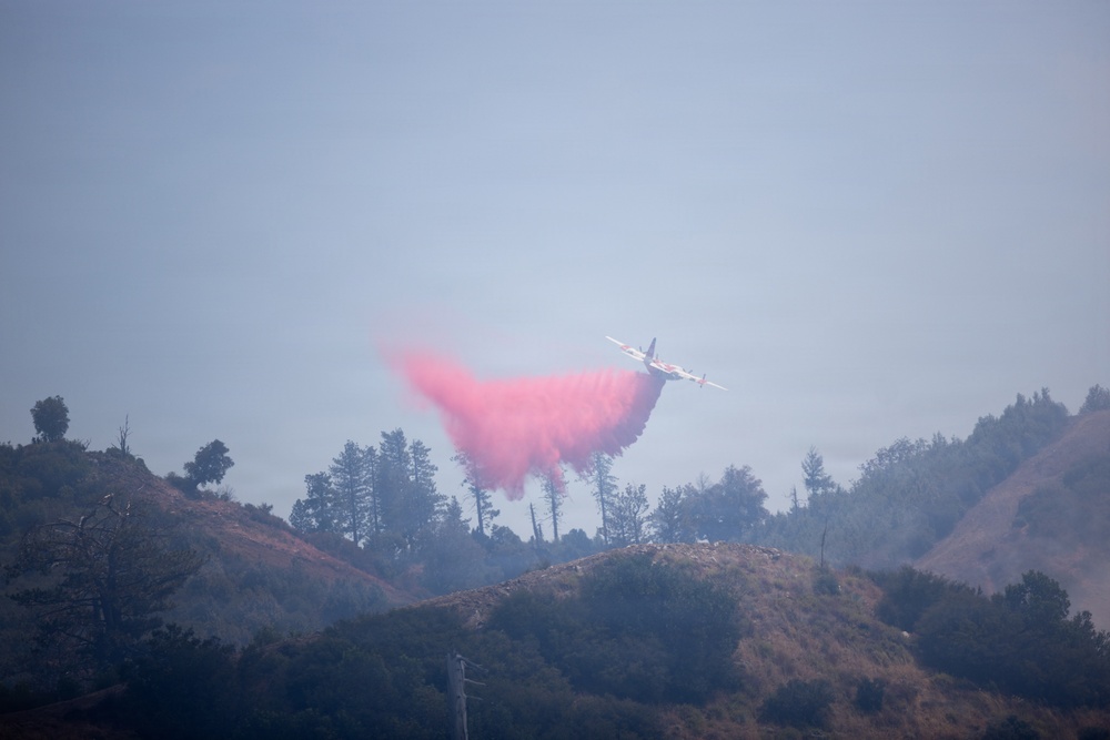 Timber Fire