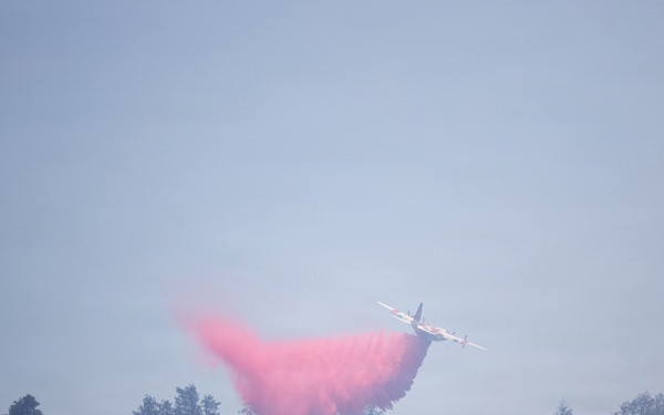 Timber Fire