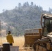 Timber Fire