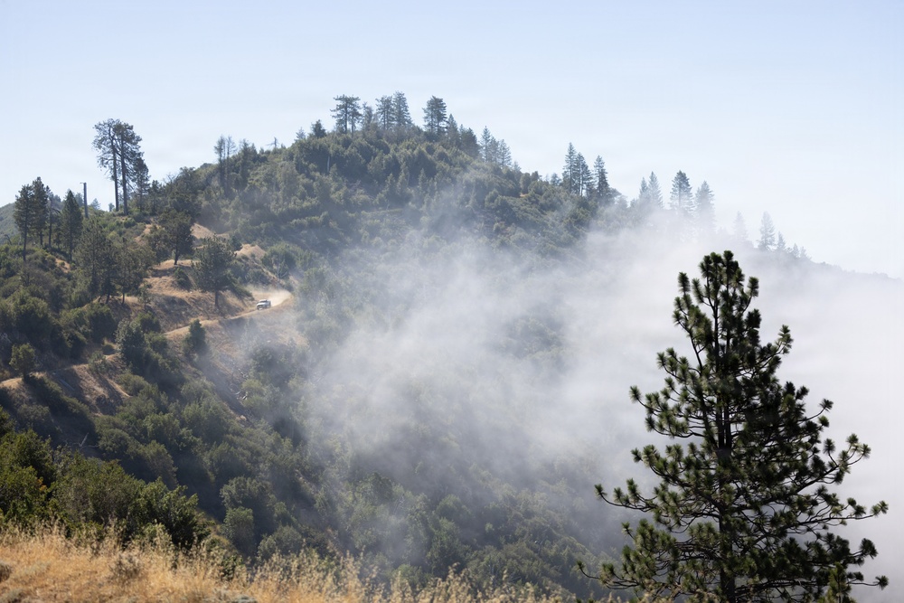 Timber Fire