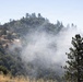 Timber Fire