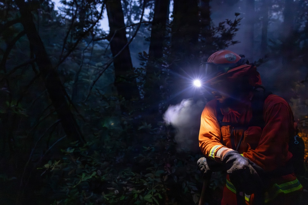 Timber Fire