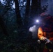 Timber Fire