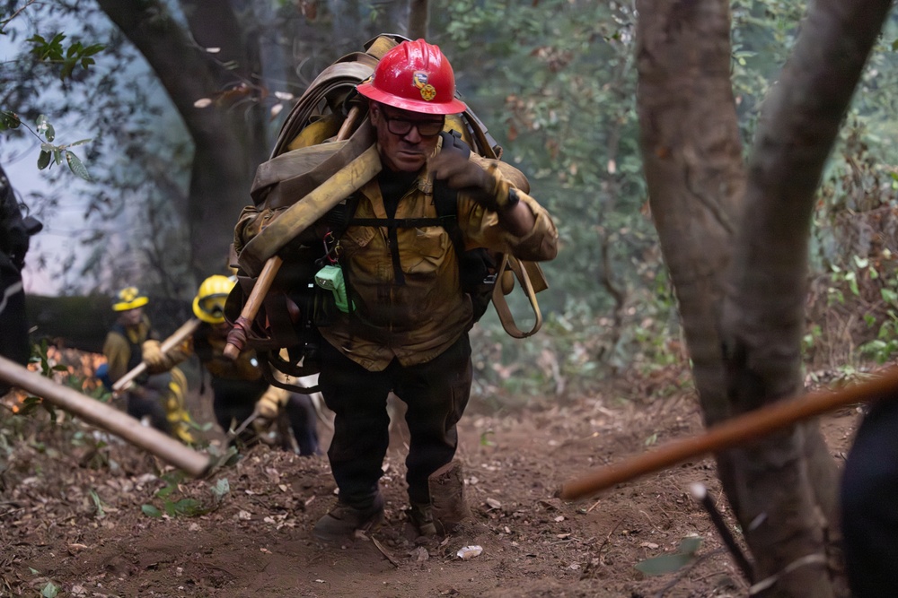 Timber Fire