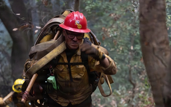 Timber Fire