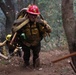 Timber Fire
