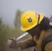 Timber Fire