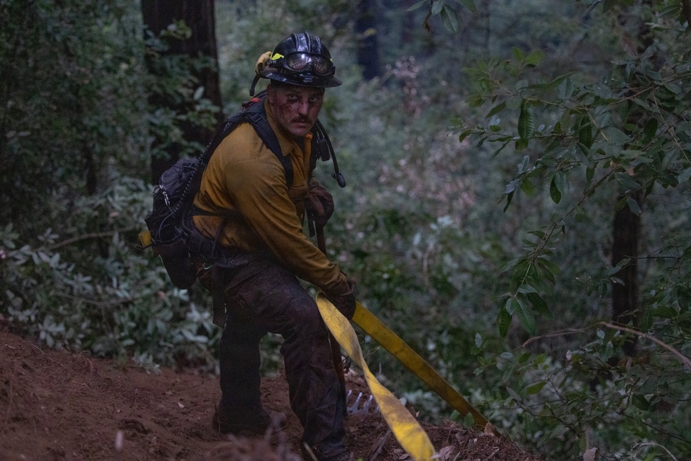 Timber Fire
