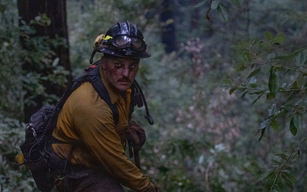 Timber Fire